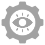 Vision Icon